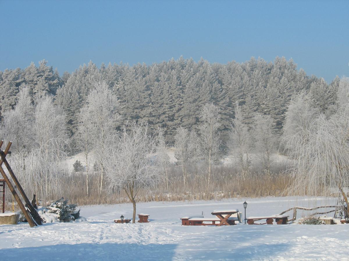 Pod Dobrym Aniolem Krzywonoga